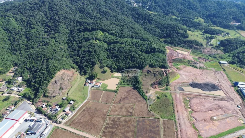 Terreno, 9 hectares - Foto 4