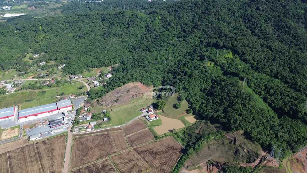 Terreno, 9 hectares - Foto 6