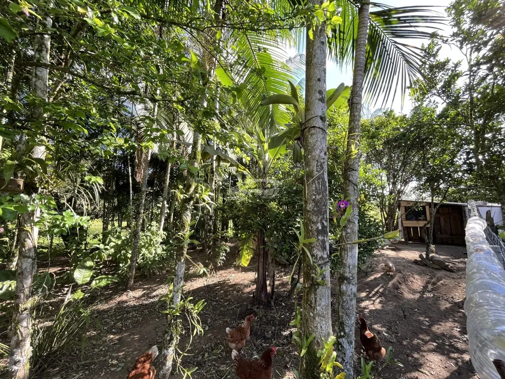 Chácara, 3 quartos, 9517 m² - Foto 5