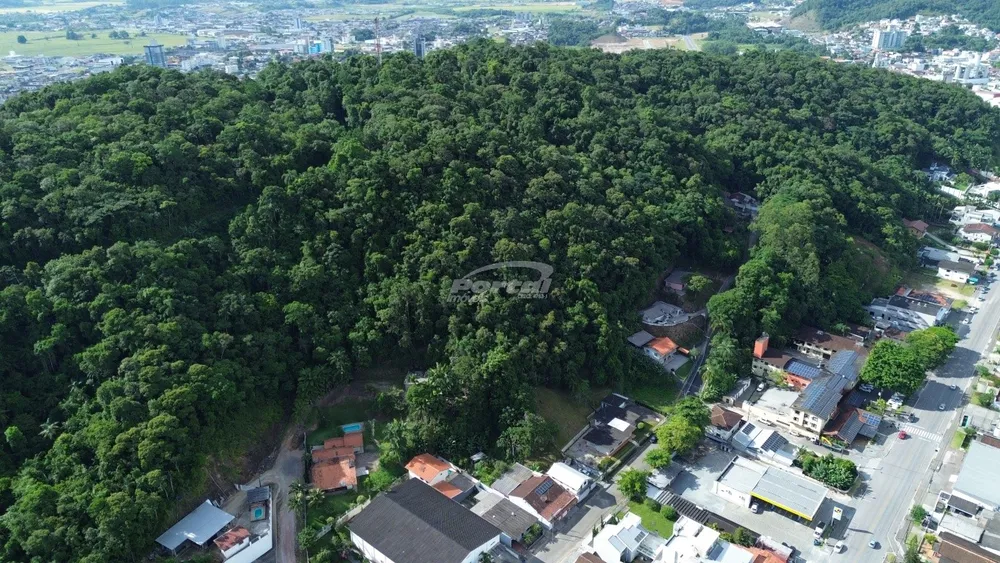 Terreno, 3 hectares - Foto 7