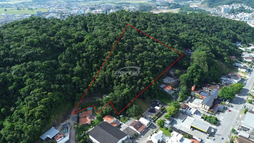 Terreno, 3 hectares - Foto 1