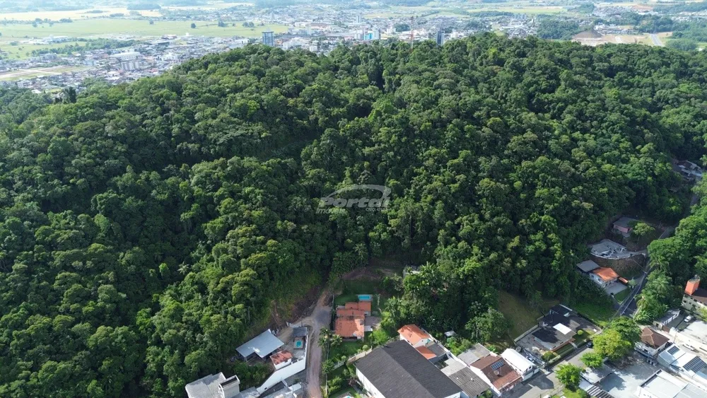 Terreno, 3 hectares - Foto 6