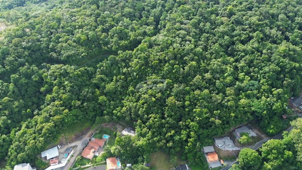 Terreno, 3 hectares - Foto 8