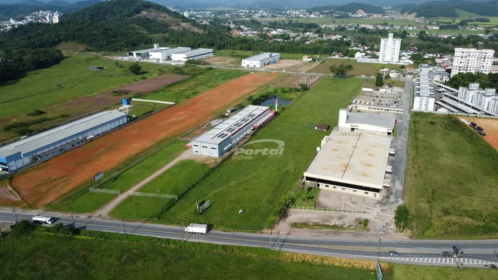 Terreno, 2 hectares - Foto 3