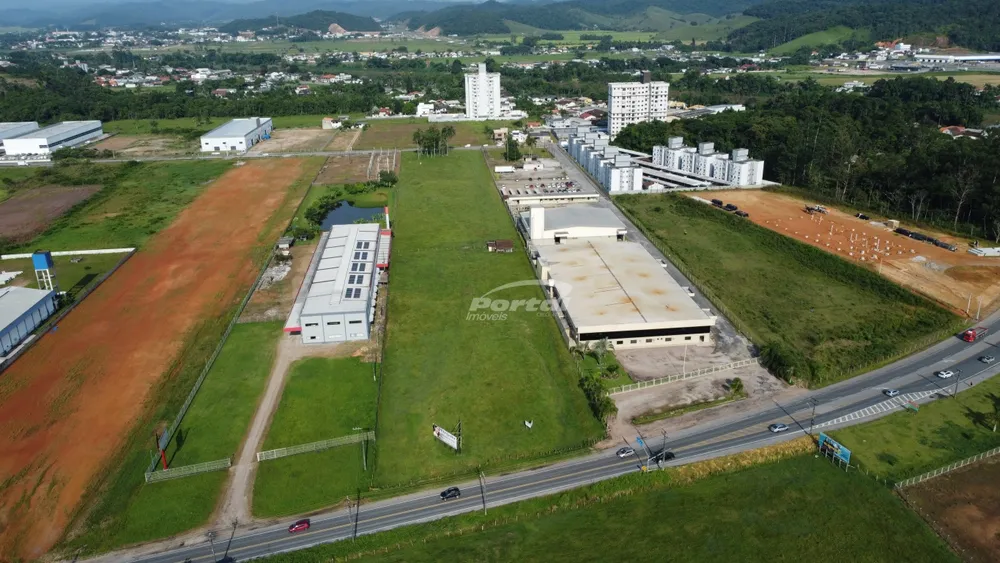 Terreno, 2 hectares - Foto 4