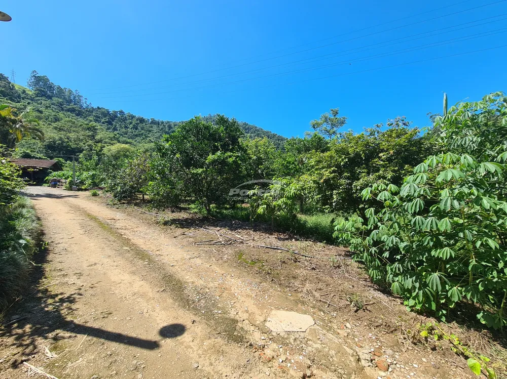 Sítio, 4 quartos, 7 hectares - Foto 4