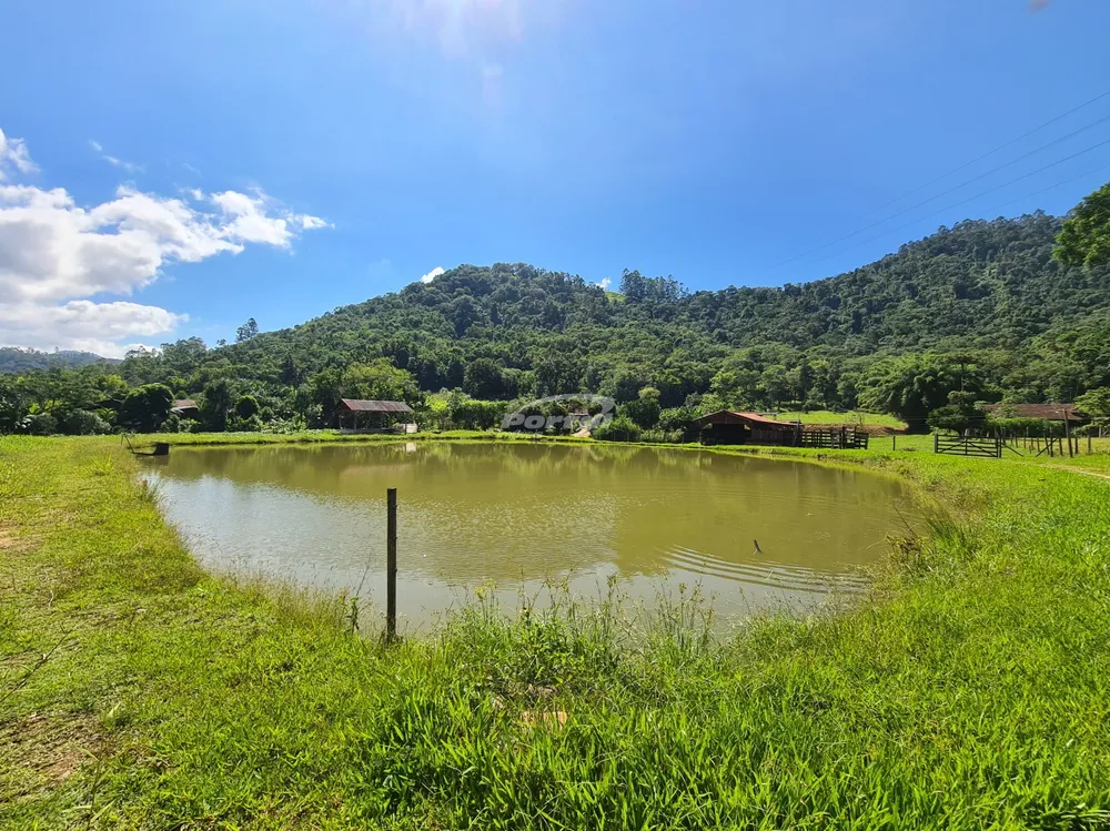 Sítio, 4 quartos, 7 hectares - Foto 1