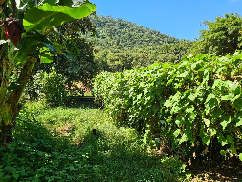 Sítio, 4 quartos, 7 hectares - Foto 2
