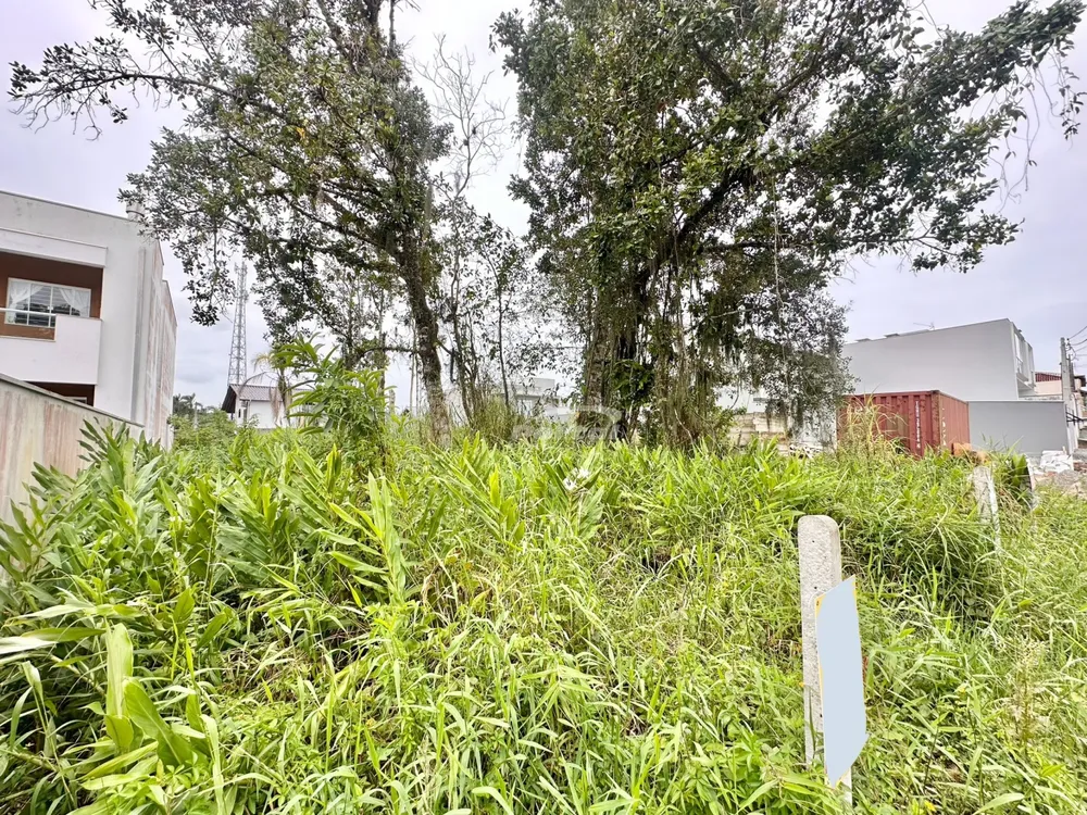 Terreno, 393 m² - Foto 5