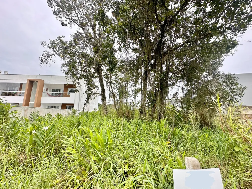 Terreno, 393 m² - Foto 4