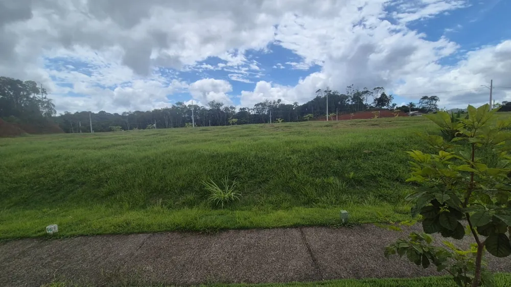 Terreno, 286 m² - Foto 5