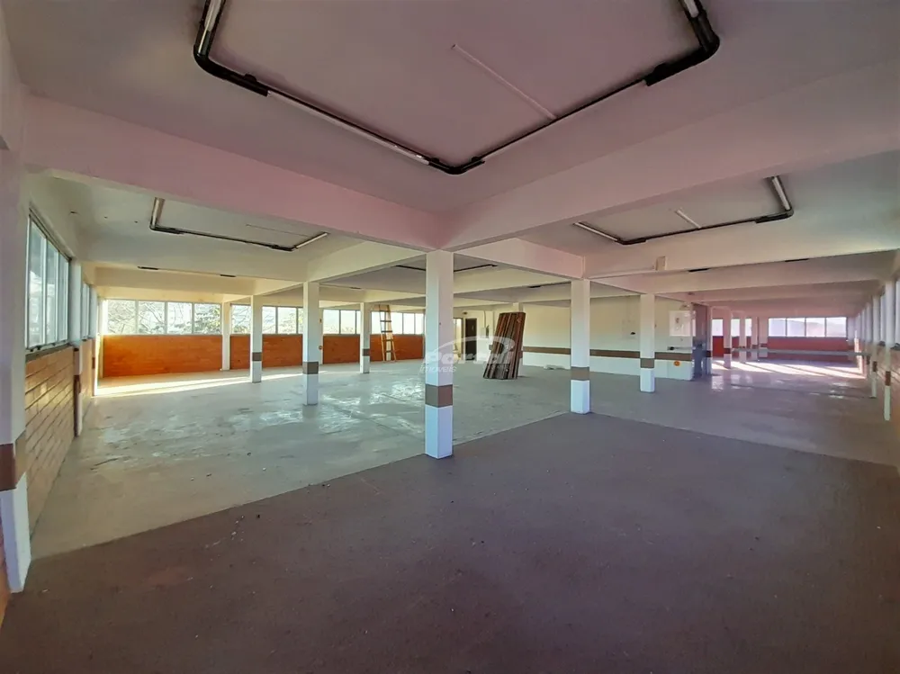 Sala-Conjunto, 500 m² - Foto 3