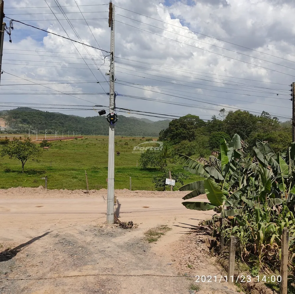 Terreno, 5 hectares - Foto 4