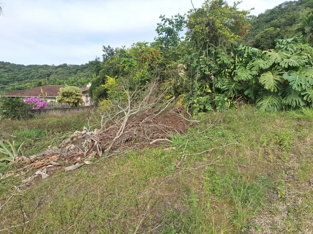 Terreno, 455 m² - Foto 5