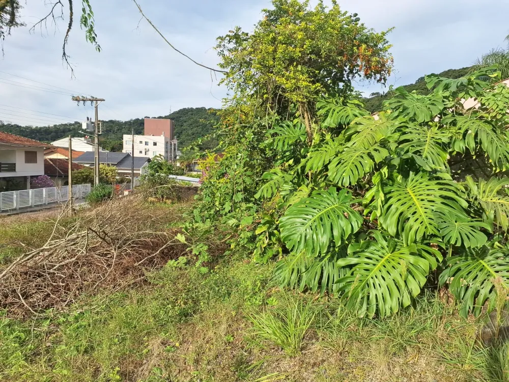 Terreno, 455 m² - Foto 8