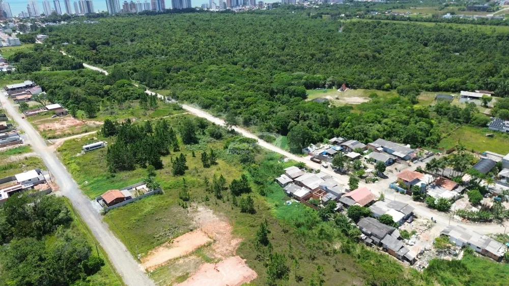 Terreno, 2 hectares - Foto 4