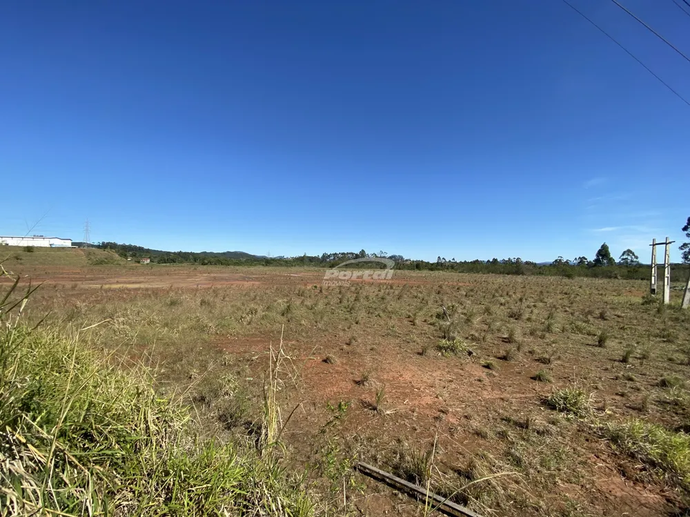 Terreno, 22 hectares - Foto 4