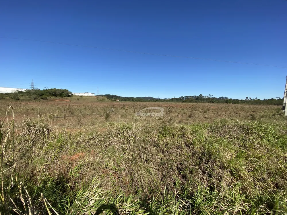Terreno, 22 hectares - Foto 3