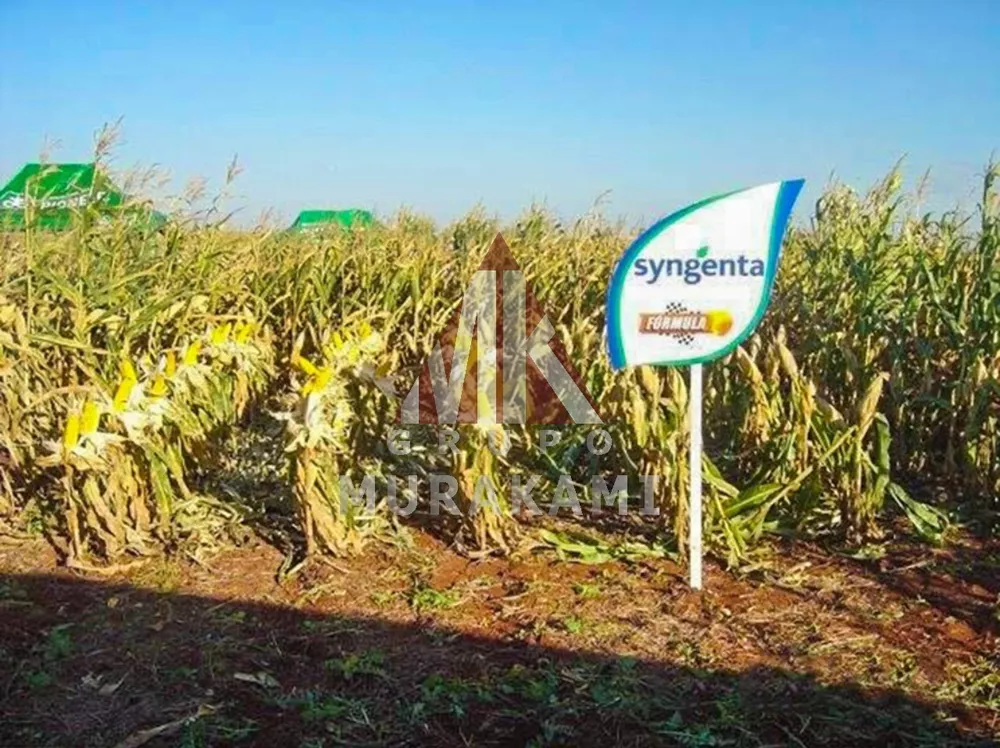 Fazenda, 872 m² - Foto 1