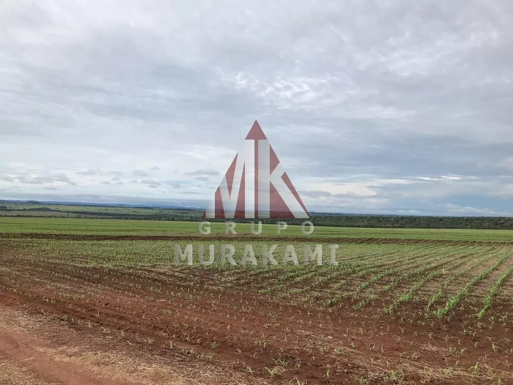 Fazenda, 2546 m² - Foto 3