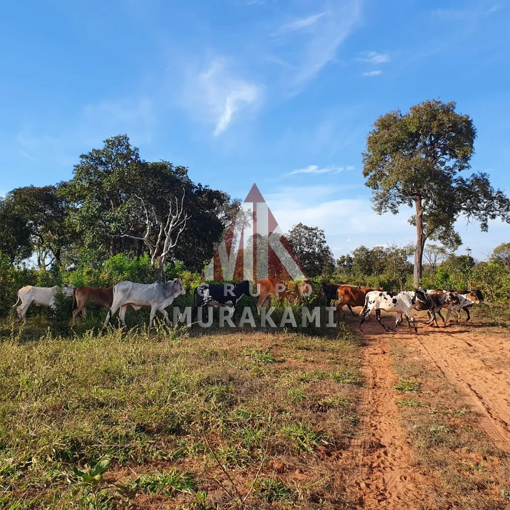Fazenda, 2546 m² - Foto 5
