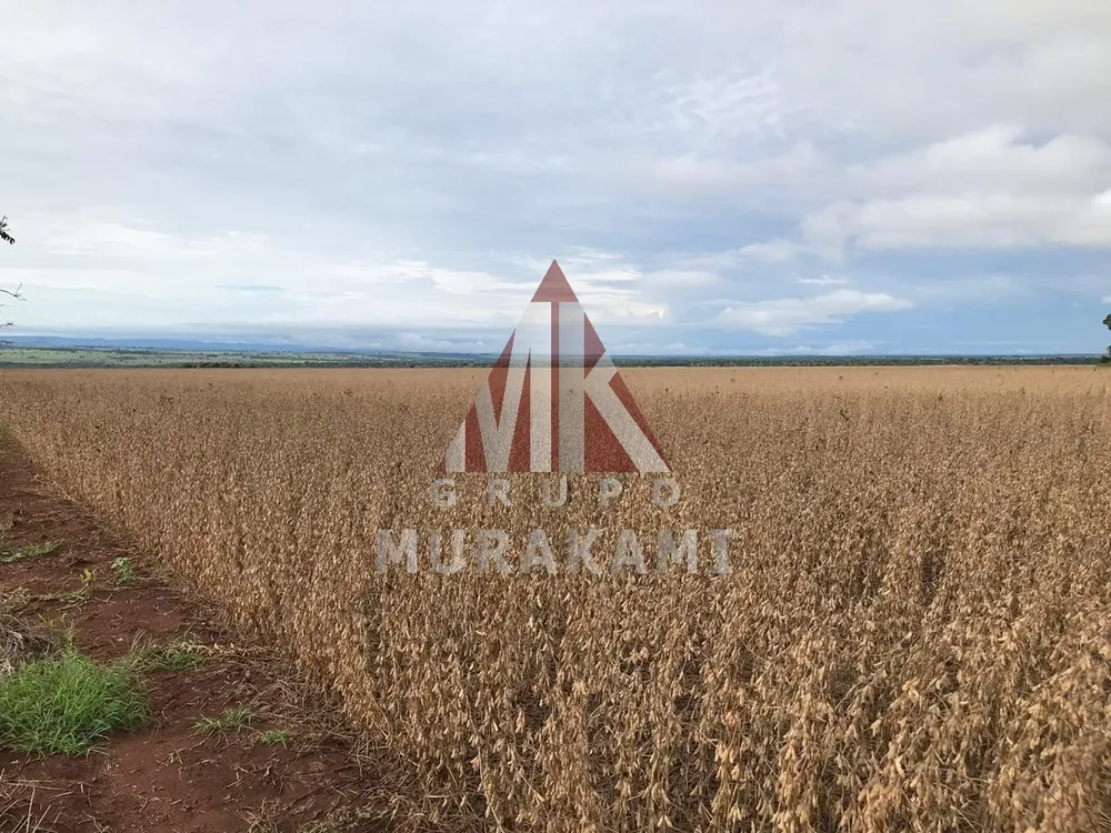 Fazenda, 2546 m² - Foto 8