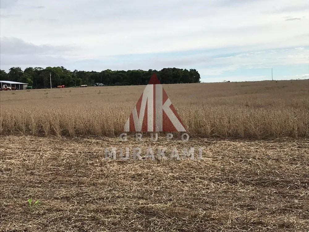 Fazenda, 2546 m² - Foto 7