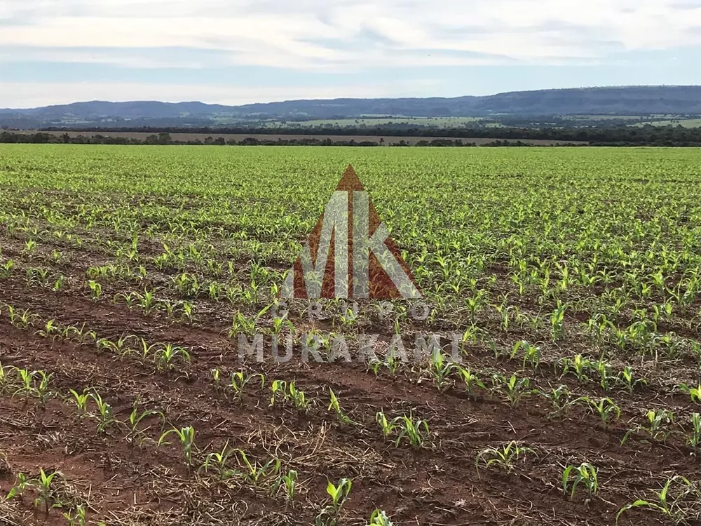 Fazenda, 2546 m² - Foto 4