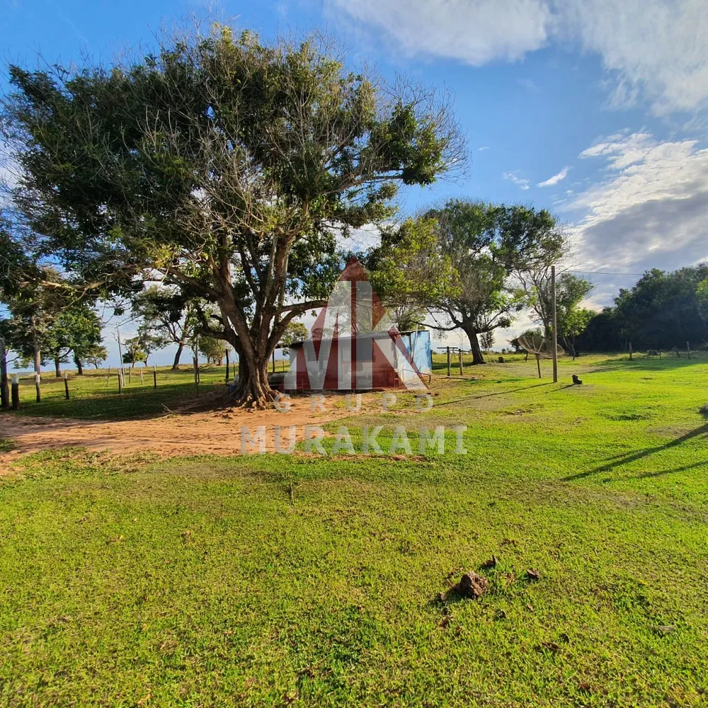 Fazenda, 2546 m² - Foto 11