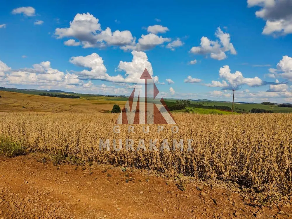 Fazenda, 100 m² - Foto 3