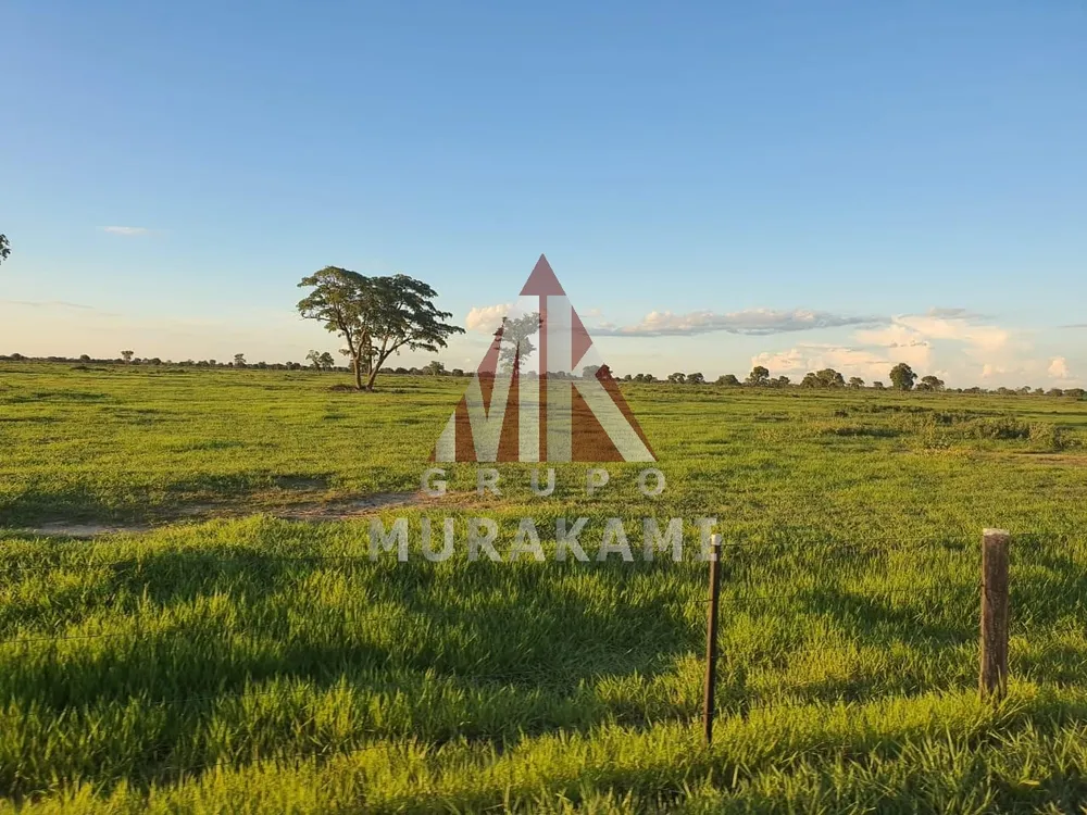 Terreno, 2 hectares - Foto 1