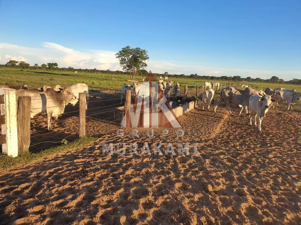 Terreno, 2 hectares - Foto 3