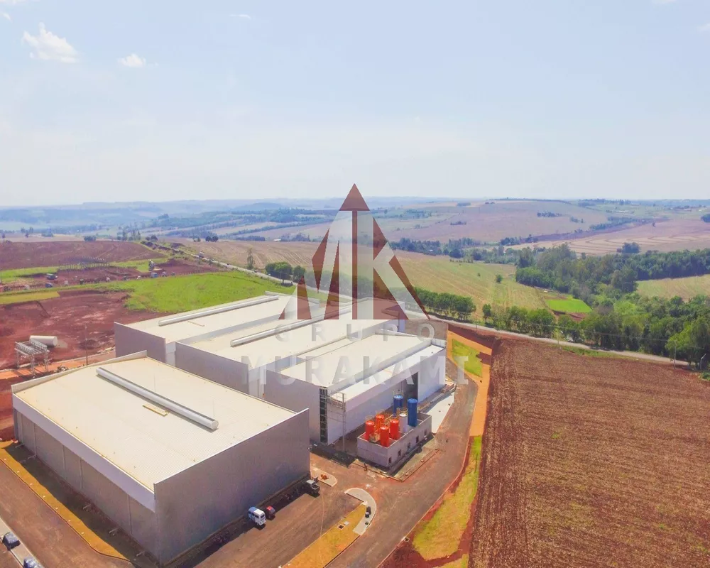 Terreno, 5 hectares - Foto 3