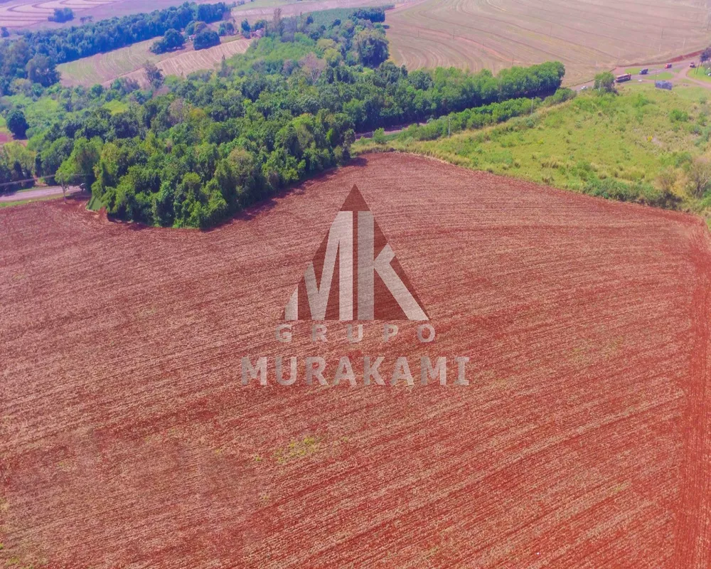 Terreno, 5 hectares - Foto 4