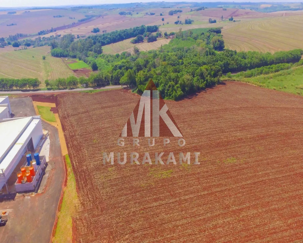 Terreno, 5 hectares - Foto 4