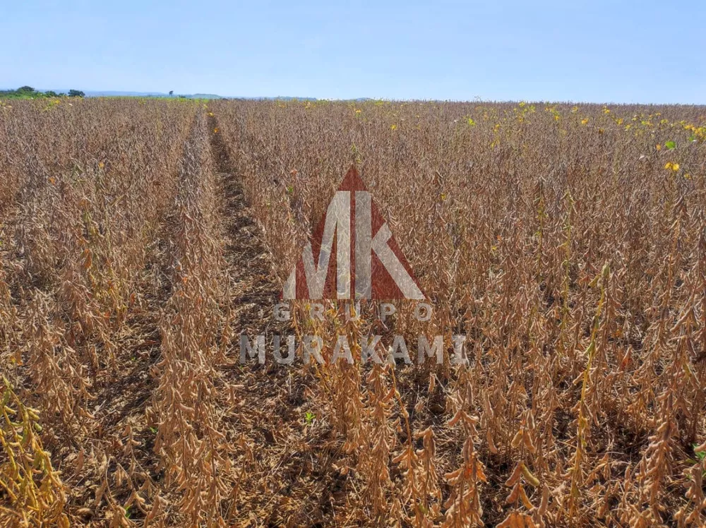 Fazenda, 107 m² - Foto 2