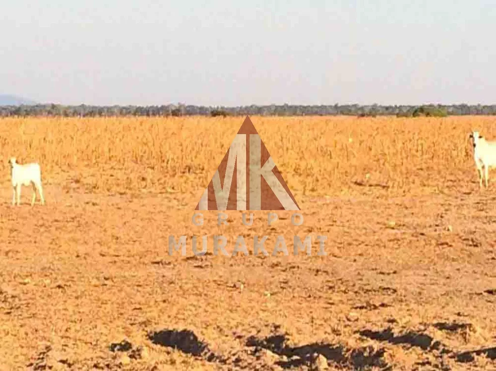 Fazenda, 4 hectares - Foto 1