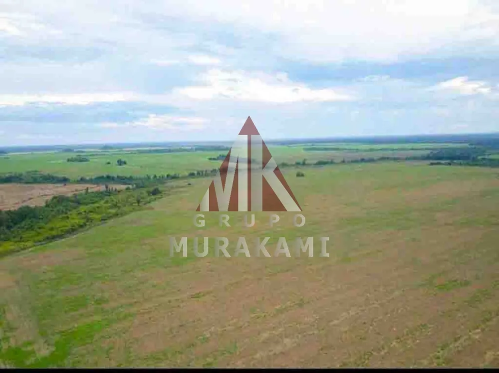 Fazenda, 4 hectares - Foto 7