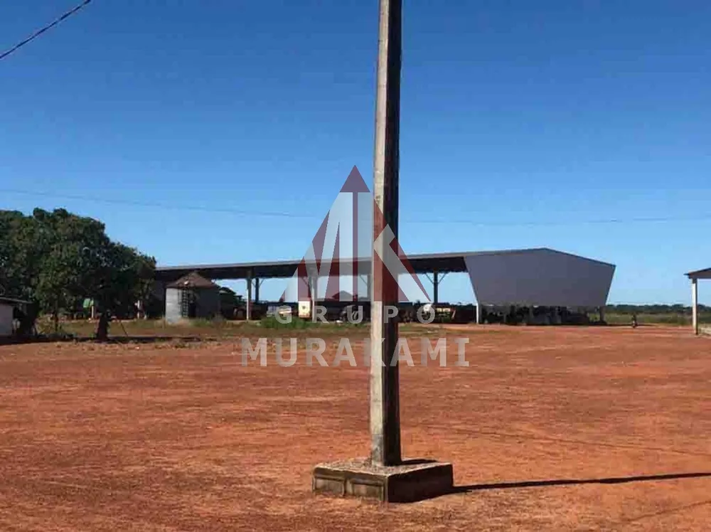 Fazenda, 4 hectares - Foto 11
