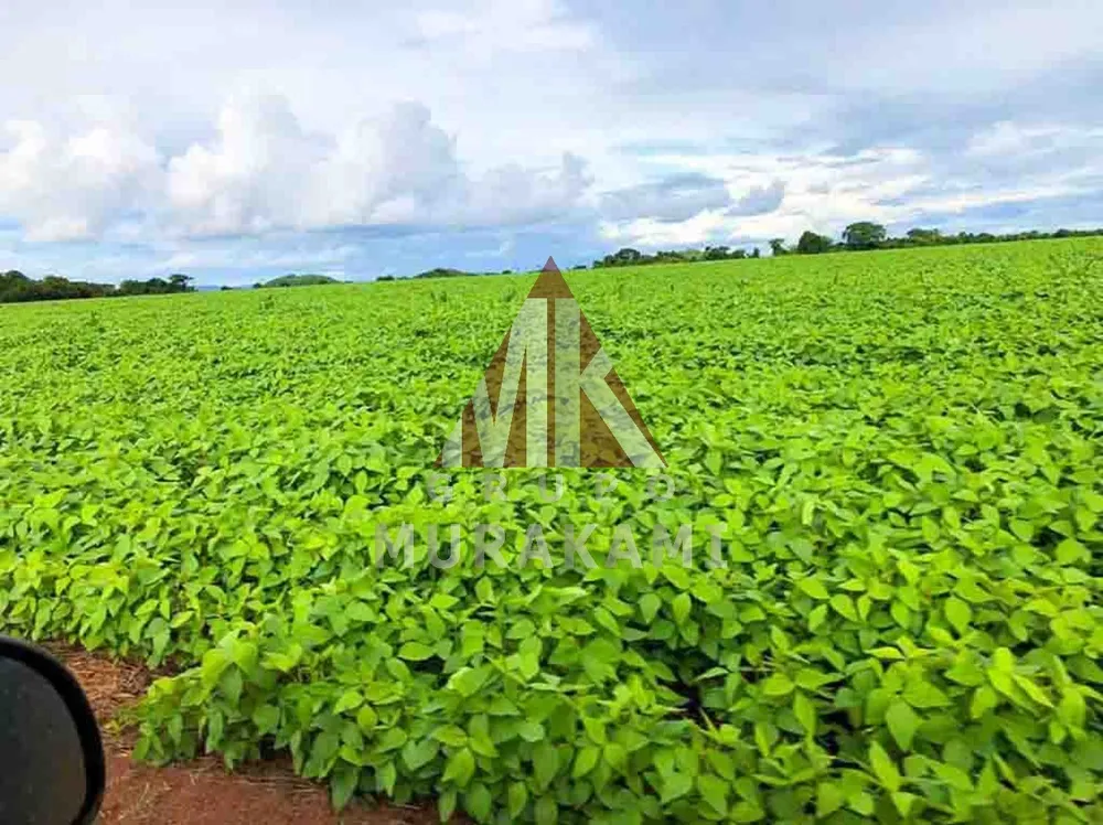 Fazenda, 4 hectares - Foto 12