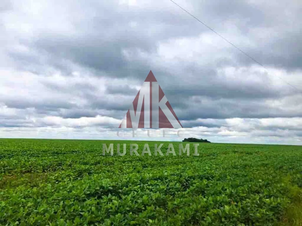 Fazenda, 4 hectares - Foto 3