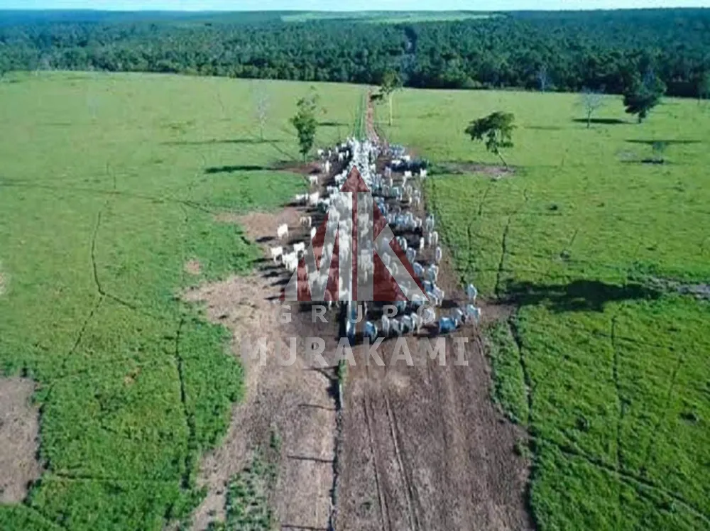 Fazenda, 6280 m² - Foto 4