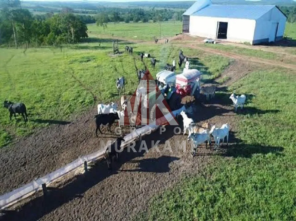 Fazenda, 6280 m² - Foto 6