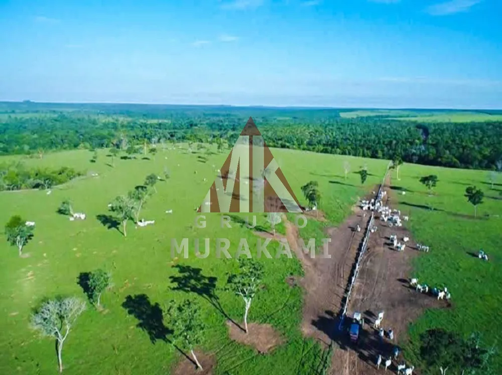Fazenda, 6280 m² - Foto 3