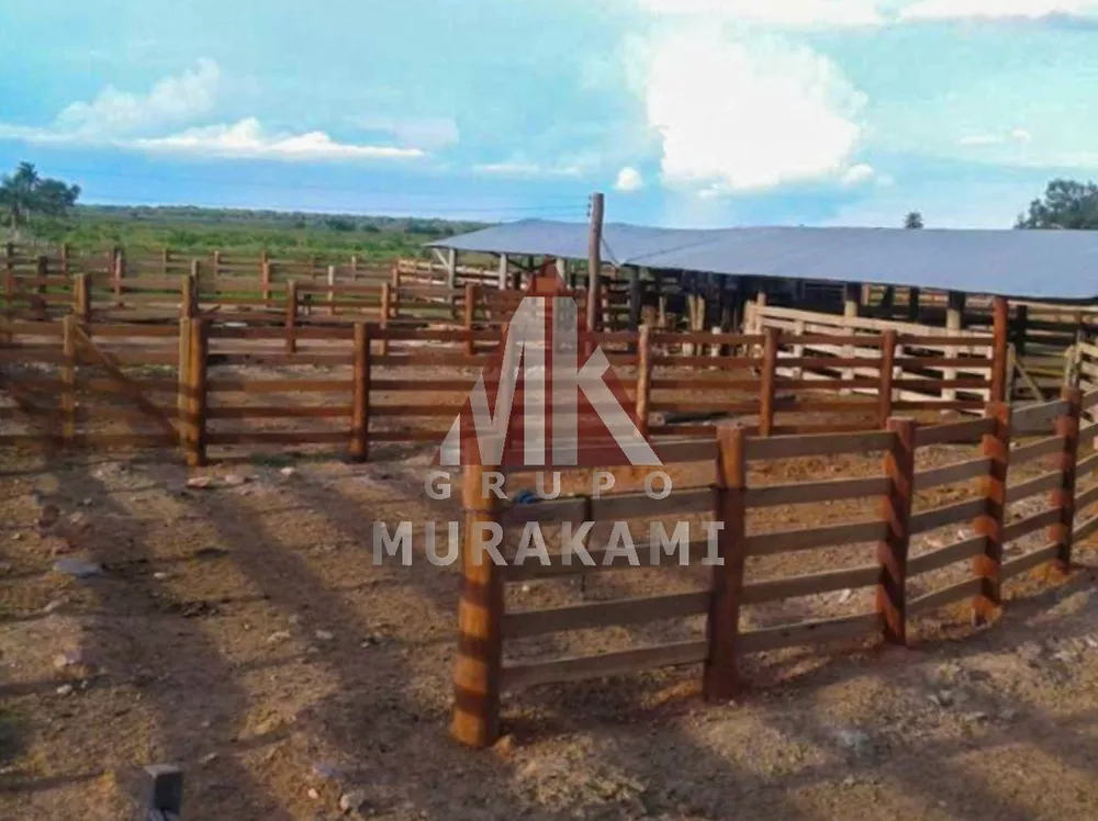 Fazenda, 4860 m² - Foto 2