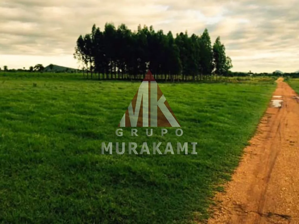 Fazenda, 4860 m² - Foto 3