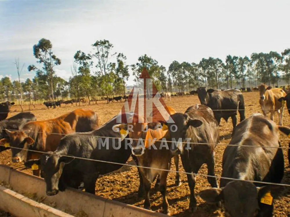 Fazenda, 400 m² - Foto 5
