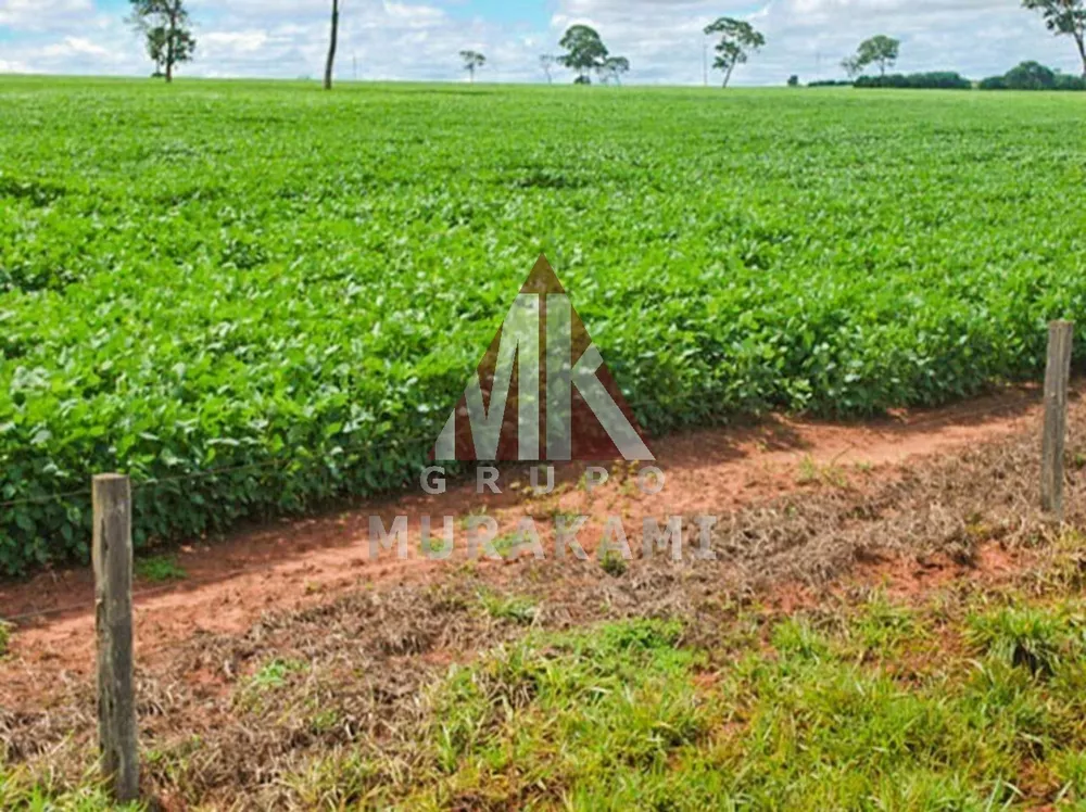 Fazenda, 400 m² - Foto 4