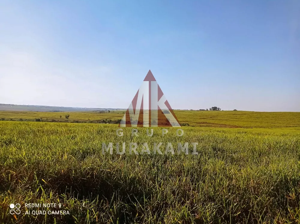 Fazenda, 250 m² - Foto 3