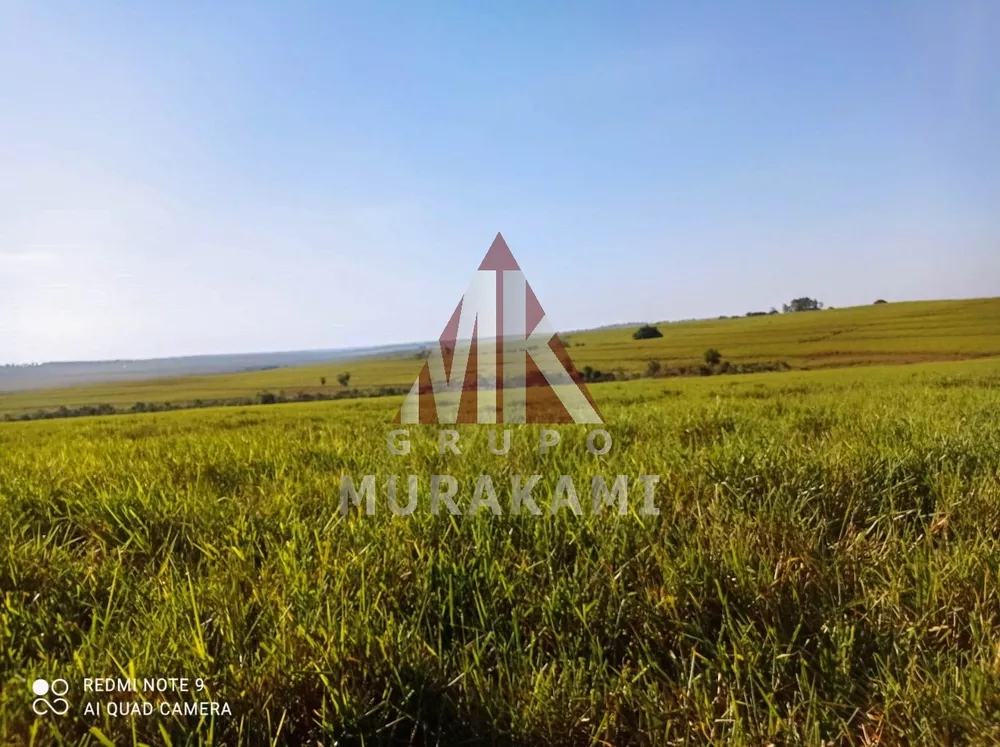 Fazenda, 250 m² - Foto 2